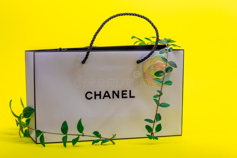 Chanel Bag Stock Vector Illustration and Royalty Free Chanel Bag