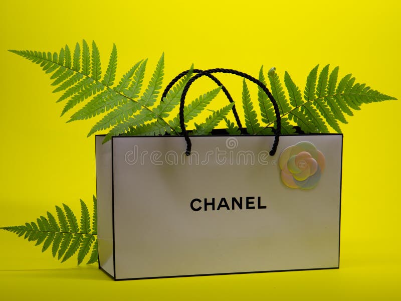 Vector Chanel Bag Stock Photos - Free & Royalty-Free Stock Photos from  Dreamstime