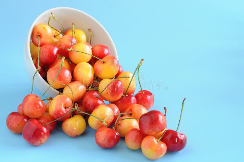 White Cherries