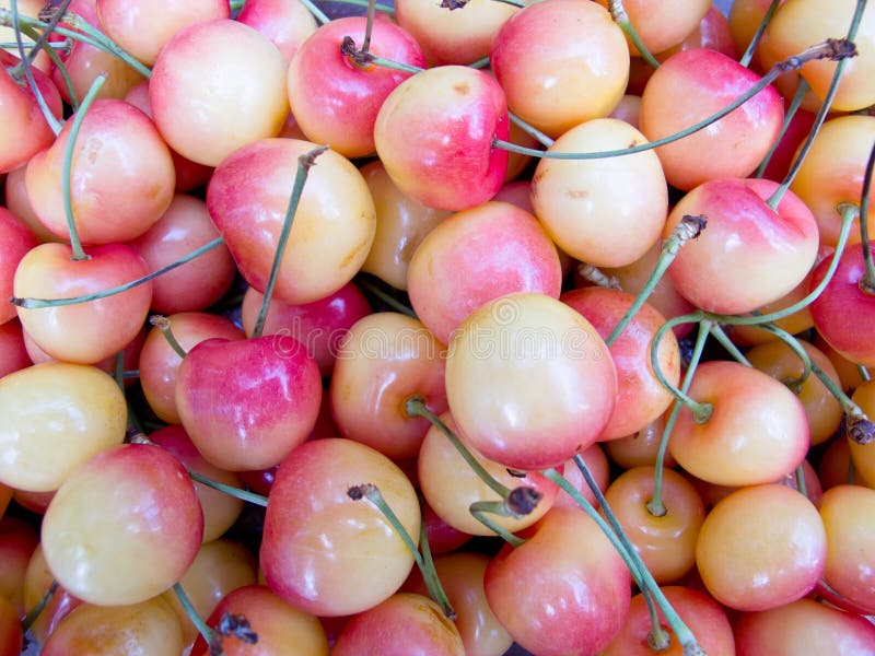 White Cherries