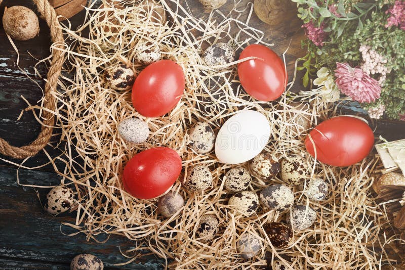 White Chicken Eggs, Red Eggs, Quail Eggs Near Dry Flowers. Eggs for