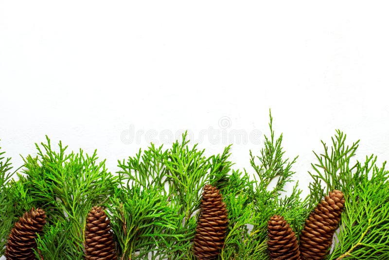 White Christmas background with natural decor. Border of conifer stock images White Christmas background with natural decor. Border of conifer stock images