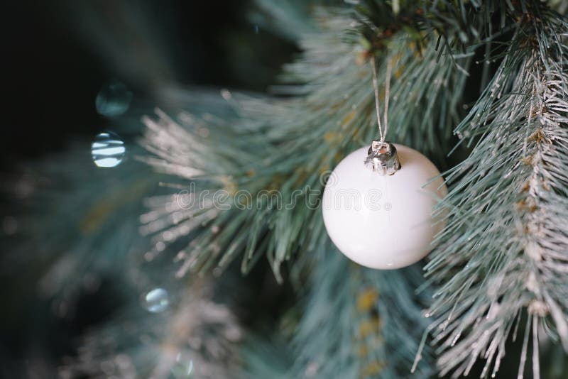White Christmas Bauble Hanging on a Christmas Tree Stock Image Image