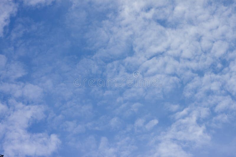 White cloud on sky. stock photo. Image of cumulus, clouds 123547680