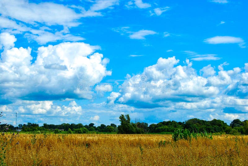 White Clouds on a Background of Blue Sky. Stock Photo - Image of heaven,  blue: 186105486