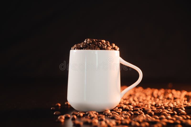A White Coffee Cup Filled with Roasted Dark Coffee Beans Stock Image