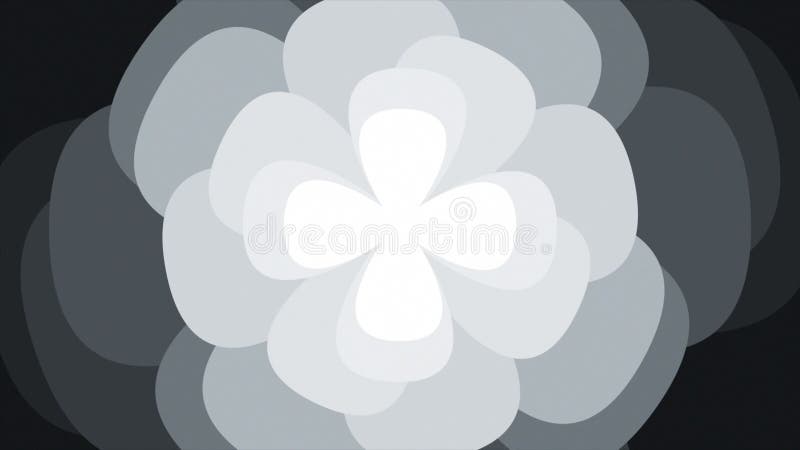 White color moving floral petals modern design Loop-able floral background stock illustration