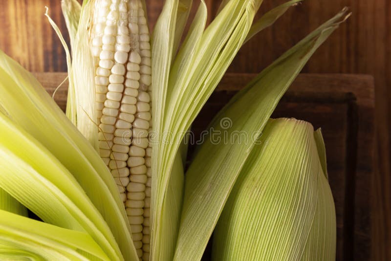 White Corn Cob Closeup stock image. Image of peel, diet 240576109