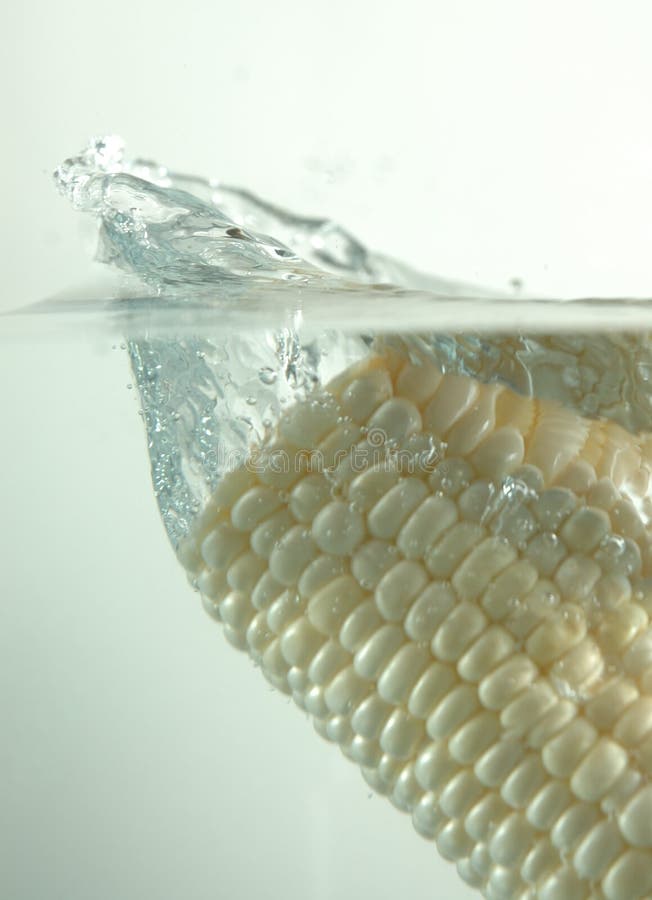 White corn splash