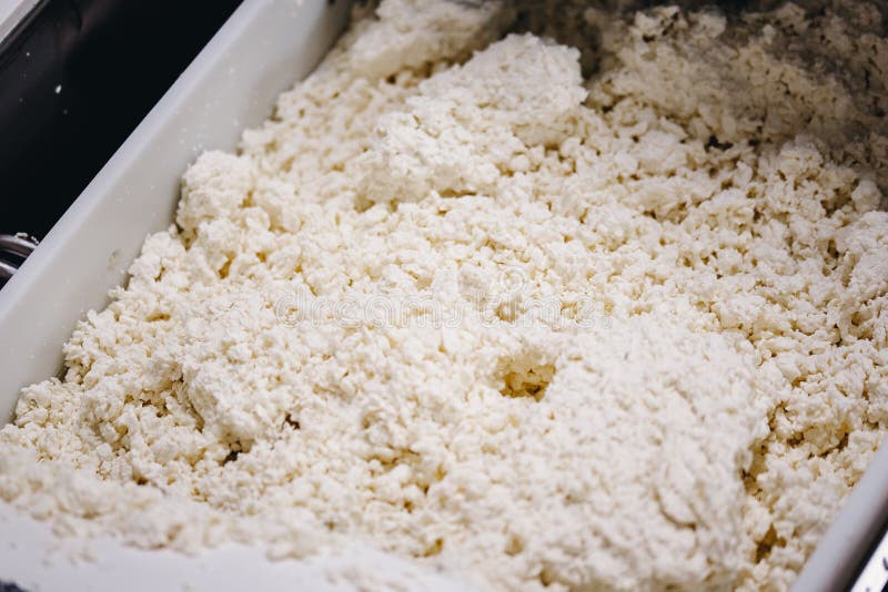 White Cottage Cheese Texture, Dairy Production Top View Stock Photo