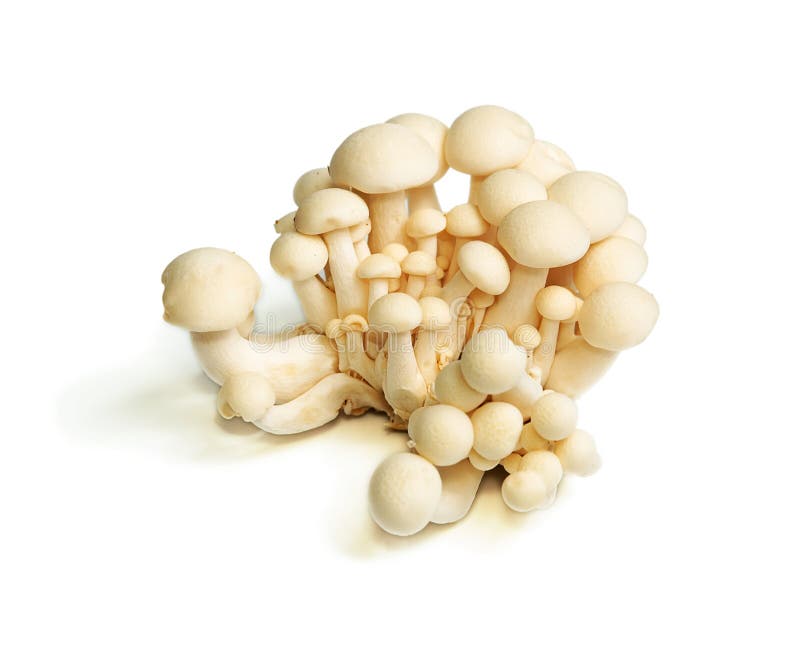 White Crab Mushrooms