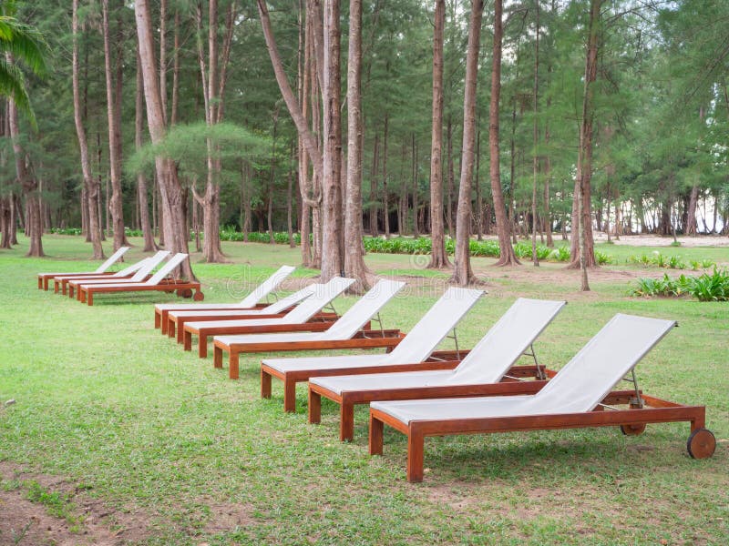 White Cradle in the Green Lawn Stock Photo Image of lawn, white