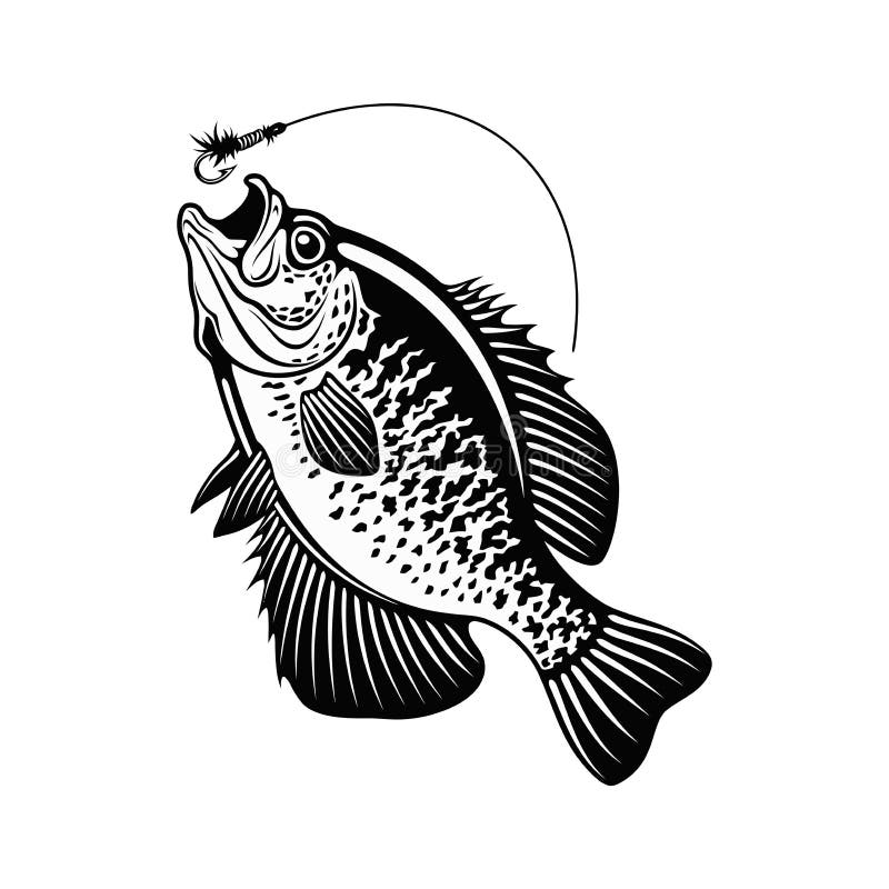 Crappie Stock Illustrations – 274 Crappie Stock Illustrations