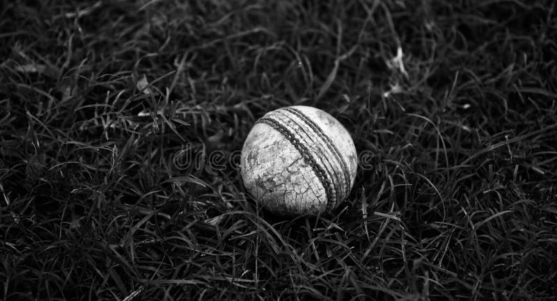 Quả bóng cricket trắng trong bức ảnh sẽ khiến bạn tò mò và muốn tìm hiểu thêm về môn thể thao này. Một quả bóng rất đặc biệt với phong cách cổ điển và làm bằng chất liệu cao cấp chắc chắn sẽ thu hút sự chú ý của bạn.