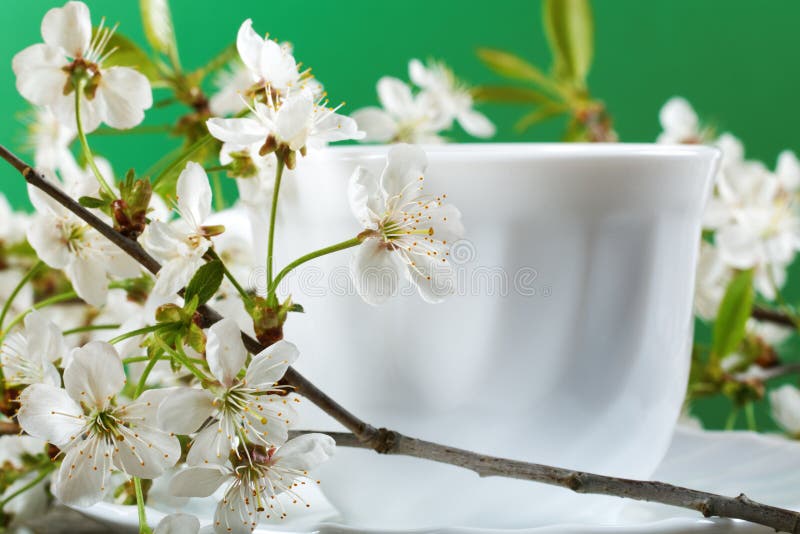 White Cup of Tea with Flowers Stock Image Image of plate, flower
