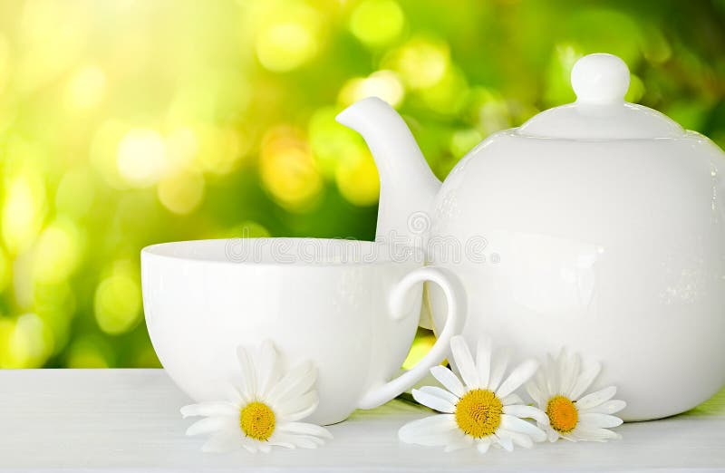 White Cup Of Tea And Teapot With Chamomile Flowers On White Wooden