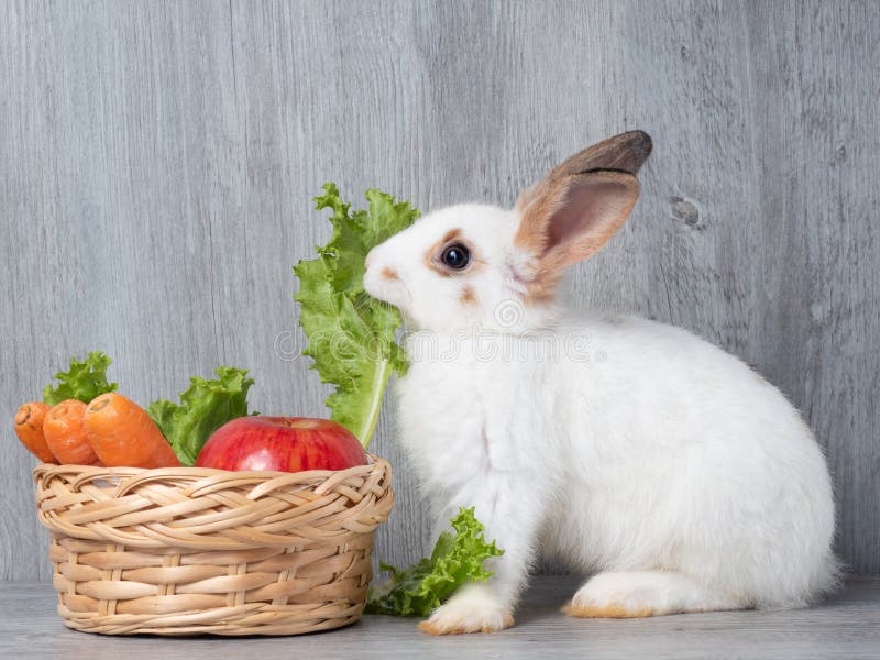 White cute rabbit eating green lettuce carrot and apple in the wooden basket and wooden gray background.