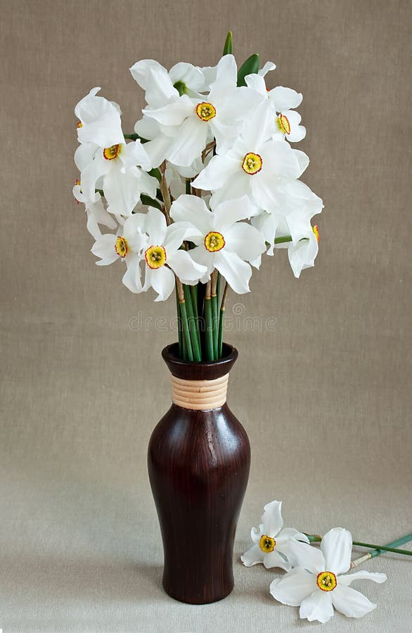 White daffodils in a vase