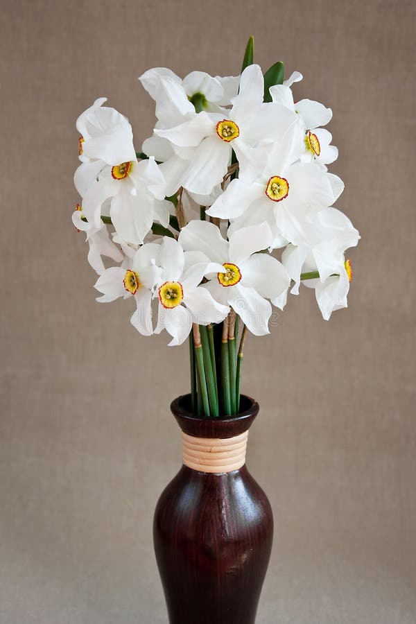 White daffodils in a vase