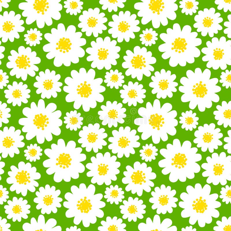 White Daisies Seamless Pattern Stock Vector - Illustration of design ...