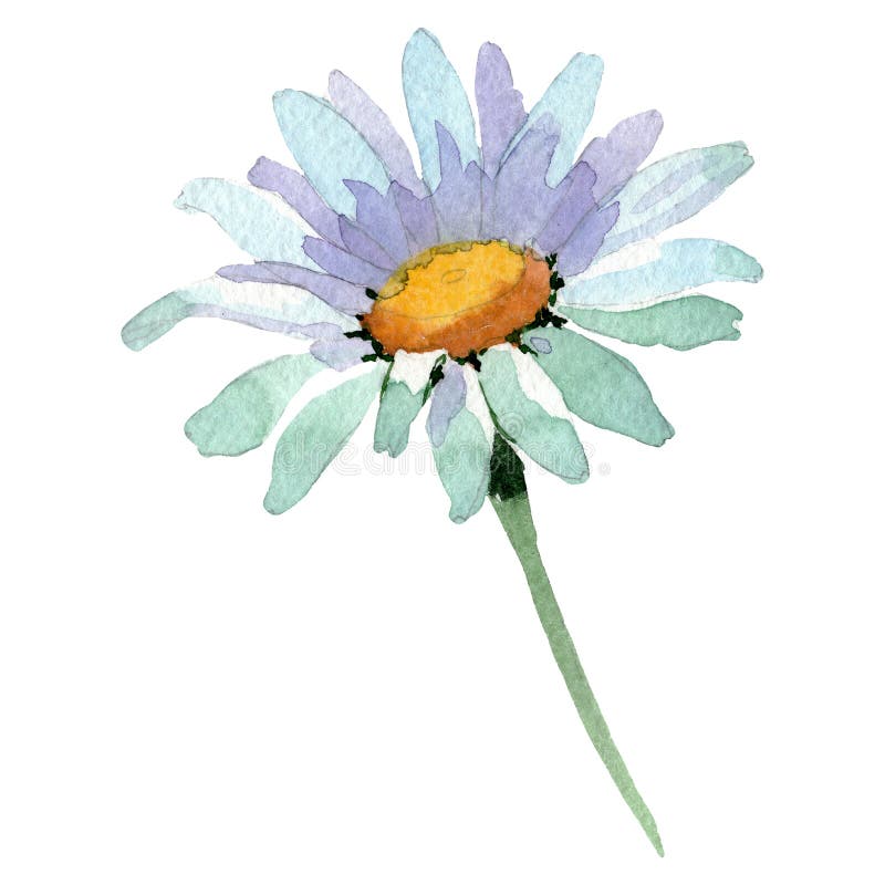 Daisy Doodle Royalty-Free Images, Stock Photos & Pictures