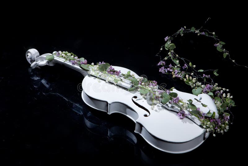 Violin,flower on Music Paper Stock Image Image of sounds, classical