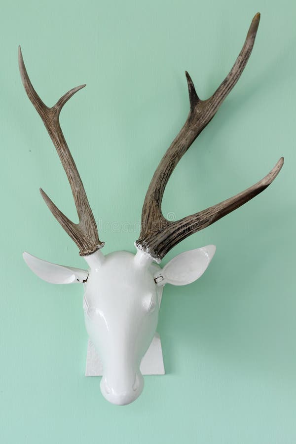 299 Deer Head Trophy Wall Stock Photos Free & RoyaltyFree Stock