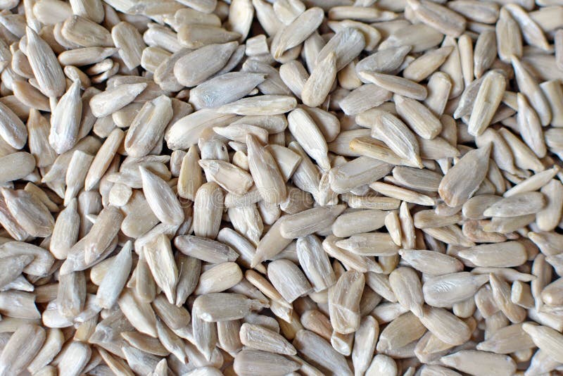 White dehulled sunflower seeds food royalty free stock photos White dehulled sunflower seeds food royalty free stock photos