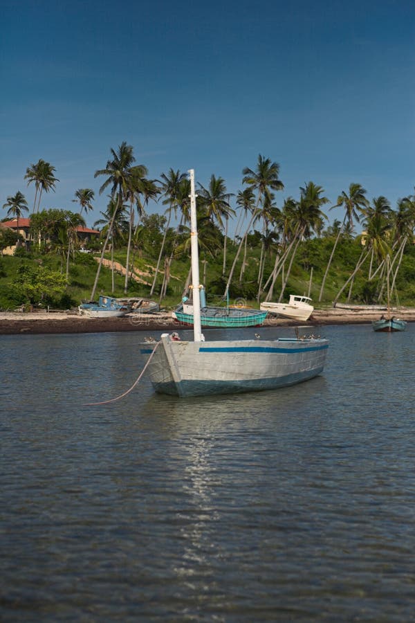 White dhow