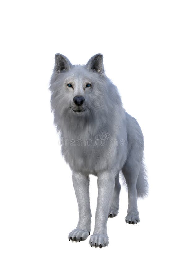 white wolf png