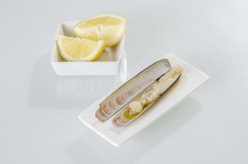 White Dish of Grilled Razor Clams with Lemon Stock Photo Image of