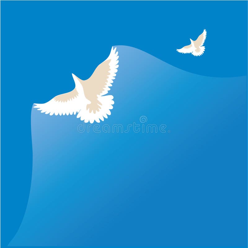 White dove stock illustration