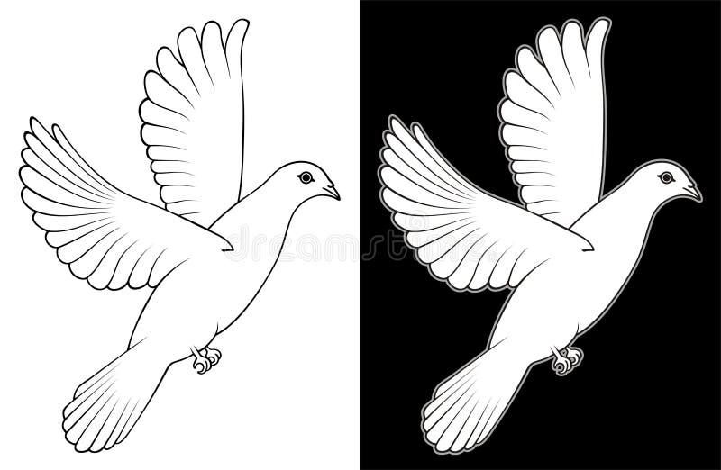 White Dove stock illustration