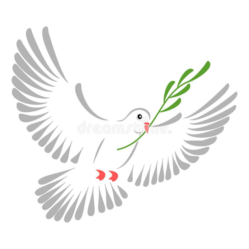White dove vector illustration
