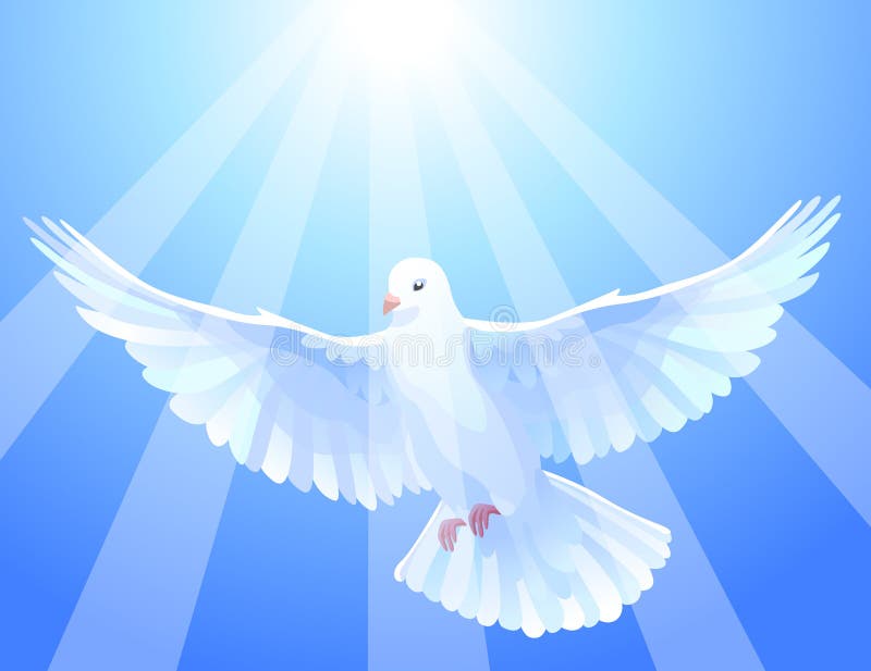 Immagine vettoriale illustrazione colomba bianca e sole spero che vi piaccia.