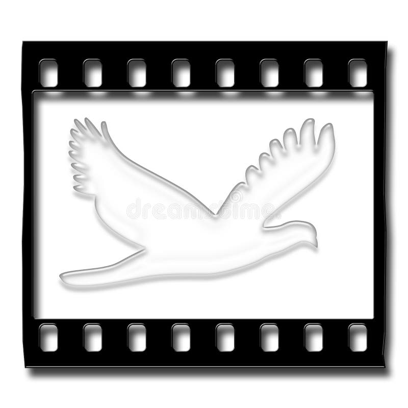White Dove With Filmstrip stock illustration