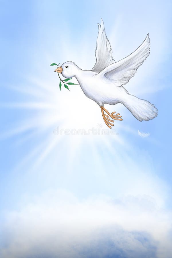 White dove of peace vector illustration