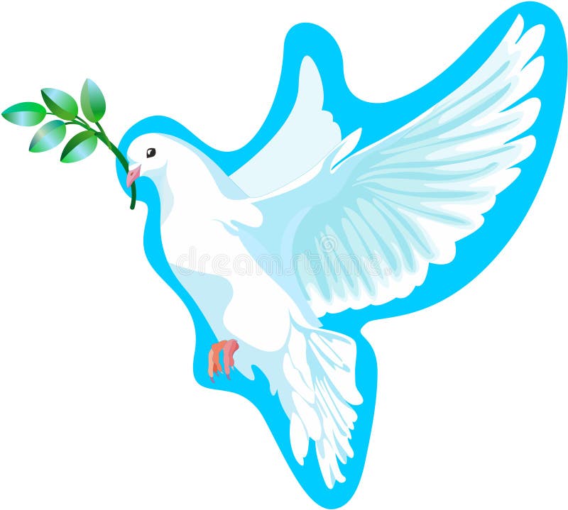 The white dove of peace, it is isolated stock illustration