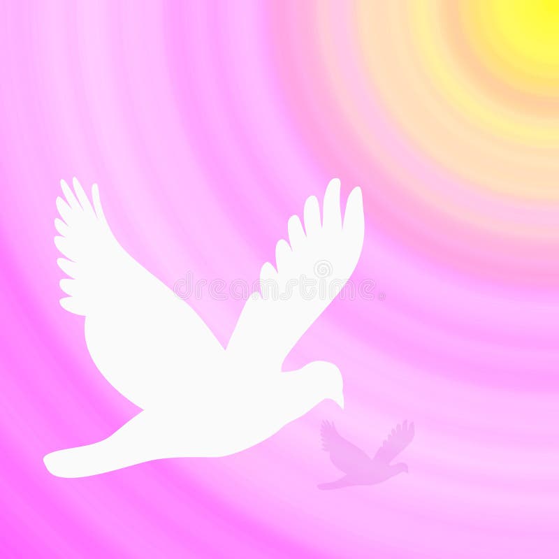 White Dove Pink Background stock illustration