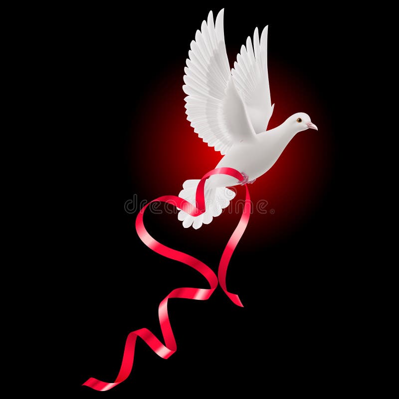 White dove with red ribbon stock illustration