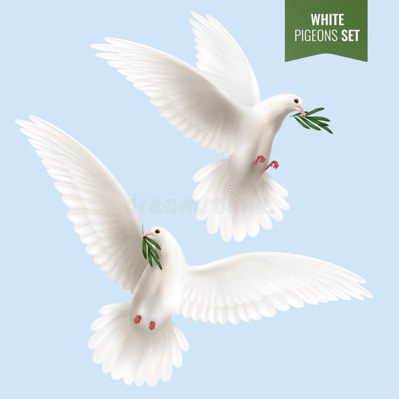 White Dove Realistic Set vector illustration