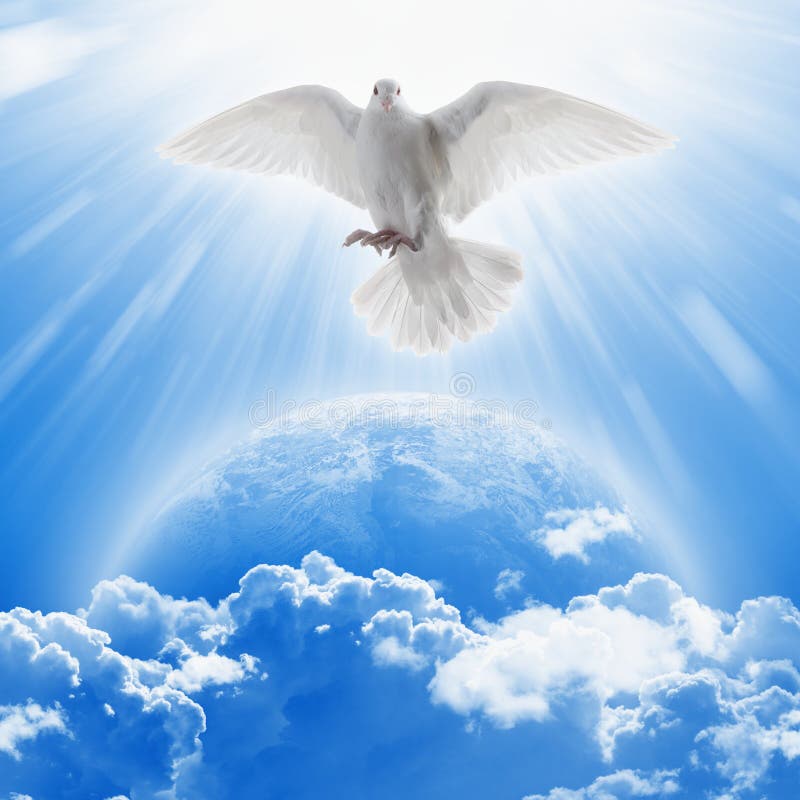 White dove symbol of love and peace flies above planet Earth