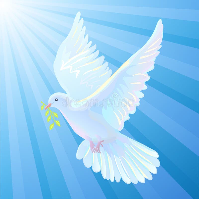 White dove is the symbol of a peace, light beams royalty free illustration