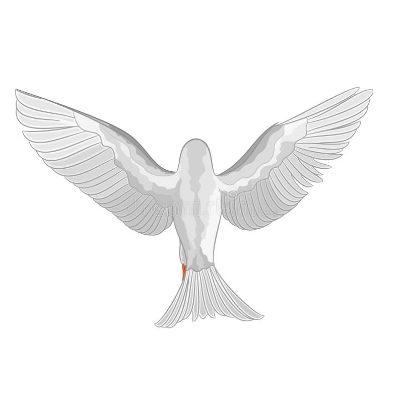 White dove vector stock vector. Illustration of white - 54901758