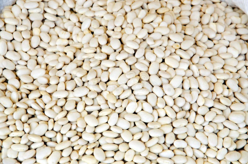 White dry beans stock image. Image of dried, eating, group 37580421