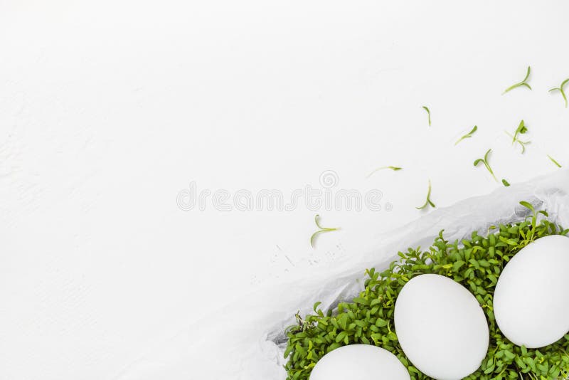 White Easter background eggs green cress