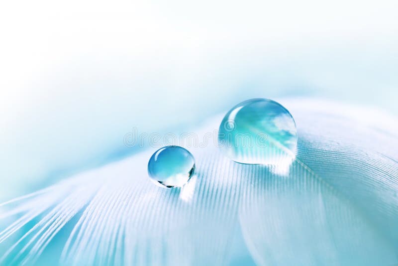 White easy airy soft bird feather with transparent drops of water on white background.