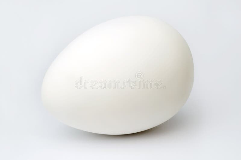 White egg royalty free stock image