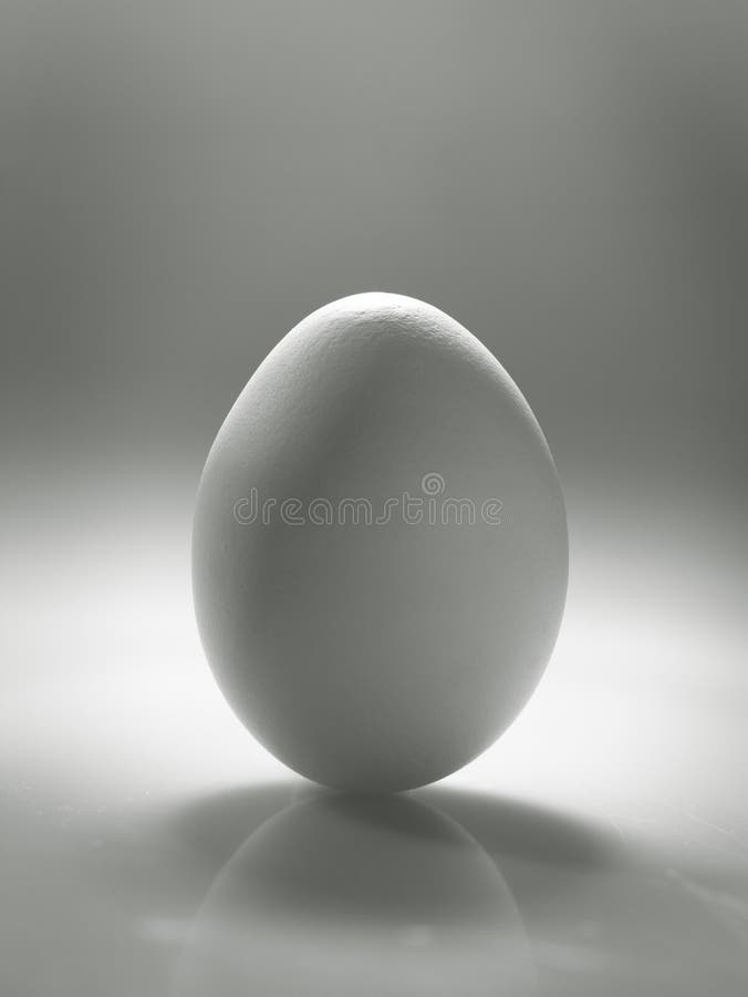 White egg stock photo. Image of monochrome, ovoid, black 23540746
