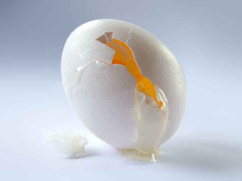 White Egg Isolated On White Background Stock Photo Image of fresh, chicken 99825458